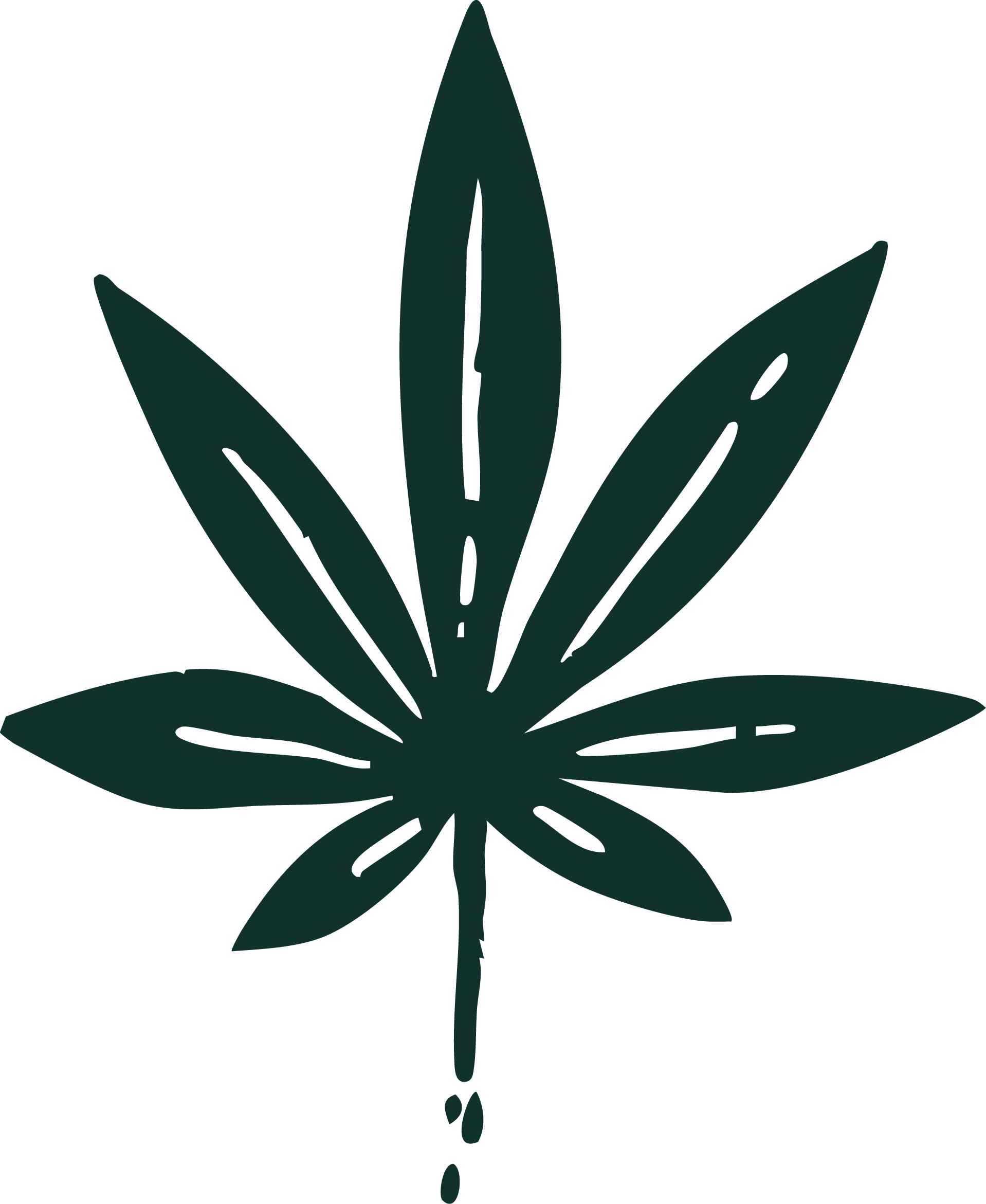 weed leaf