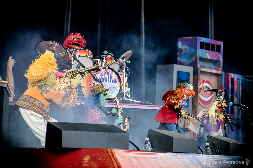 The Muppets’ Dr. Teeth & The Electric Mayhem - 2016